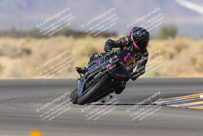 media/Nov-11-2023-SoCal Trackdays (Sat) [[efd63766ff]]/Turn 16 (11am)/